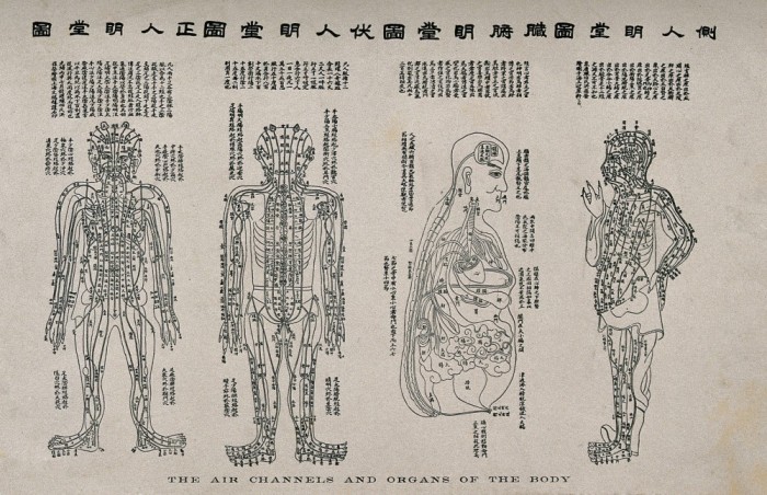 Acupuncture - Traditional Chinese Medicine